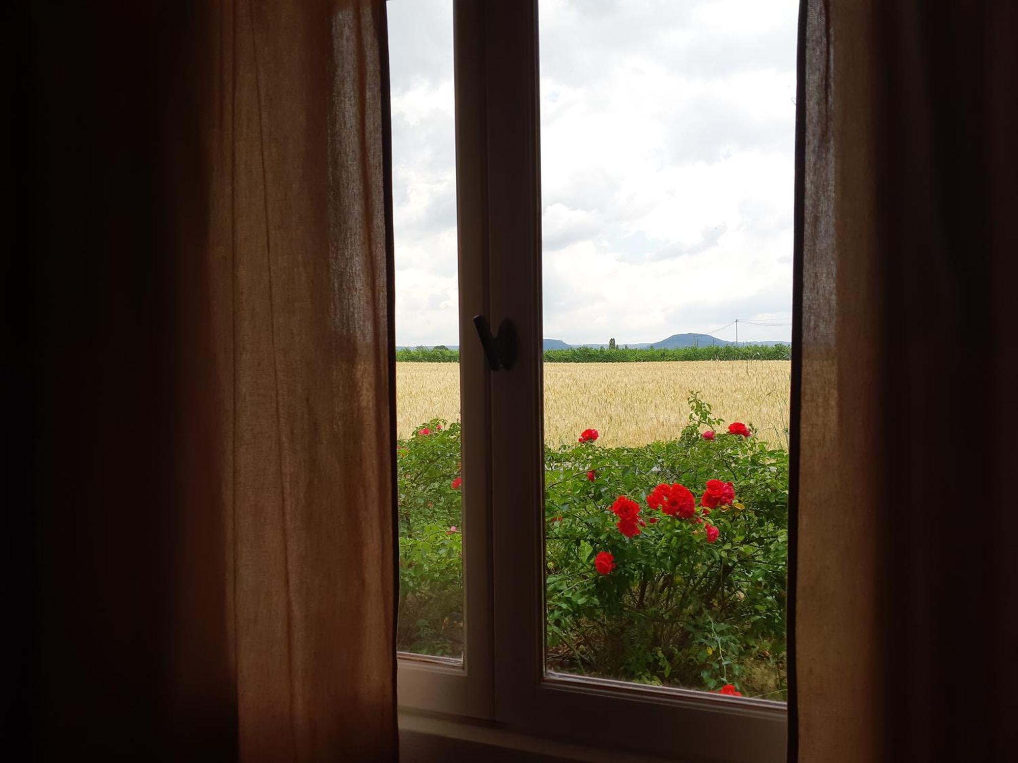 Chambres D'Hotes, B&B La Musardiere Alba-la-Romaine Екстериор снимка