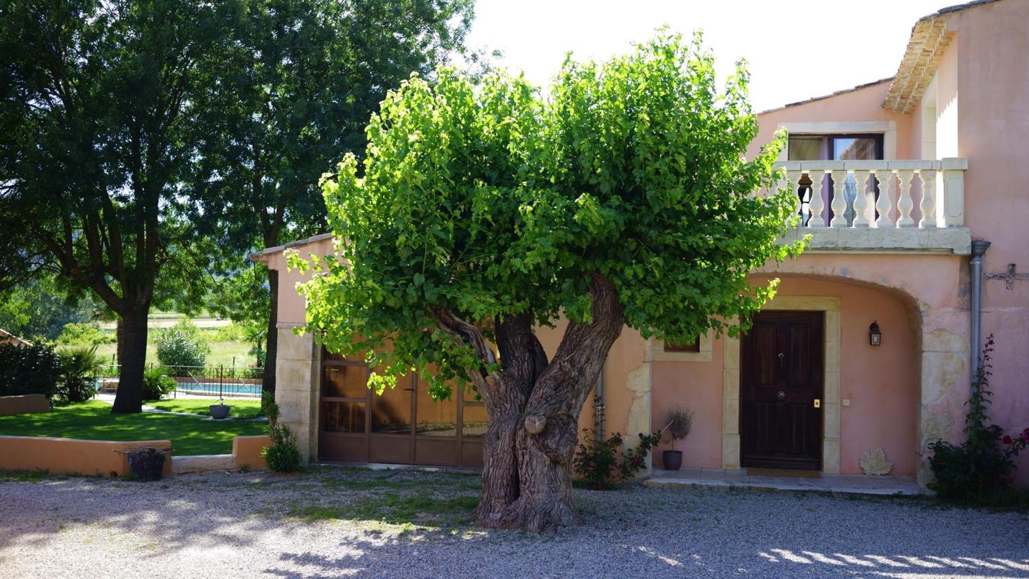 Chambres D'Hotes, B&B La Musardiere Alba-la-Romaine Екстериор снимка
